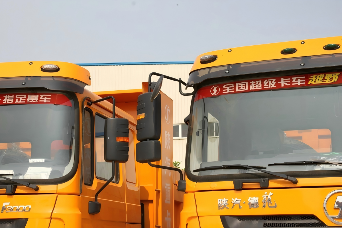 SHACMAN F3000 10 Wheeler Dump Truck SX3256UR384 - image 5