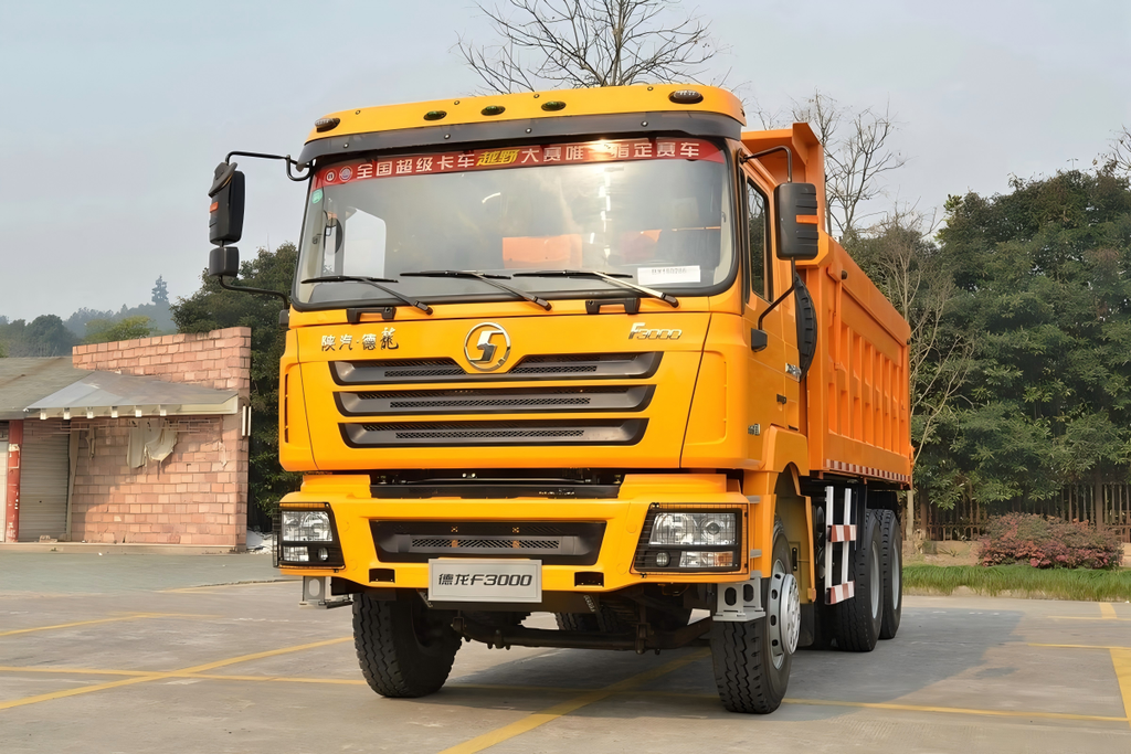 SHACMAN F3000 10 Wheeler Dump Truck SX3256UR384