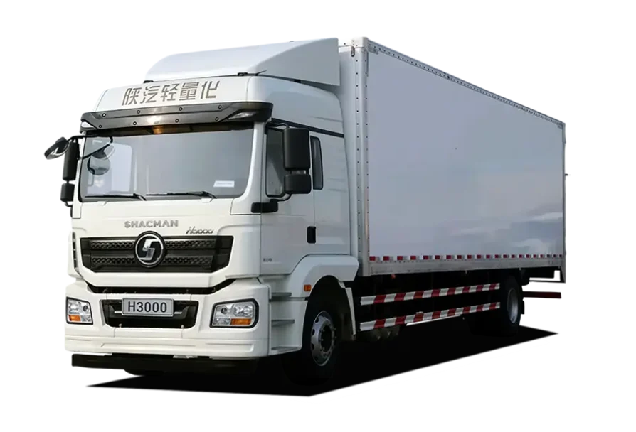 Shacman H3000 Cargo Truck SX1165MF461