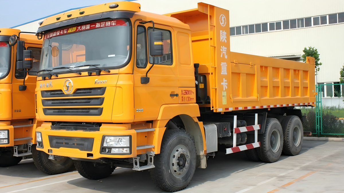 SHACMAN F3000 10 Wheeler Dump Truck SX3256UR384 - image 3